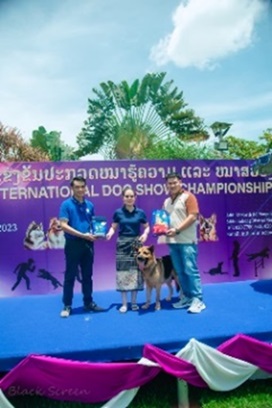 Award ceremony