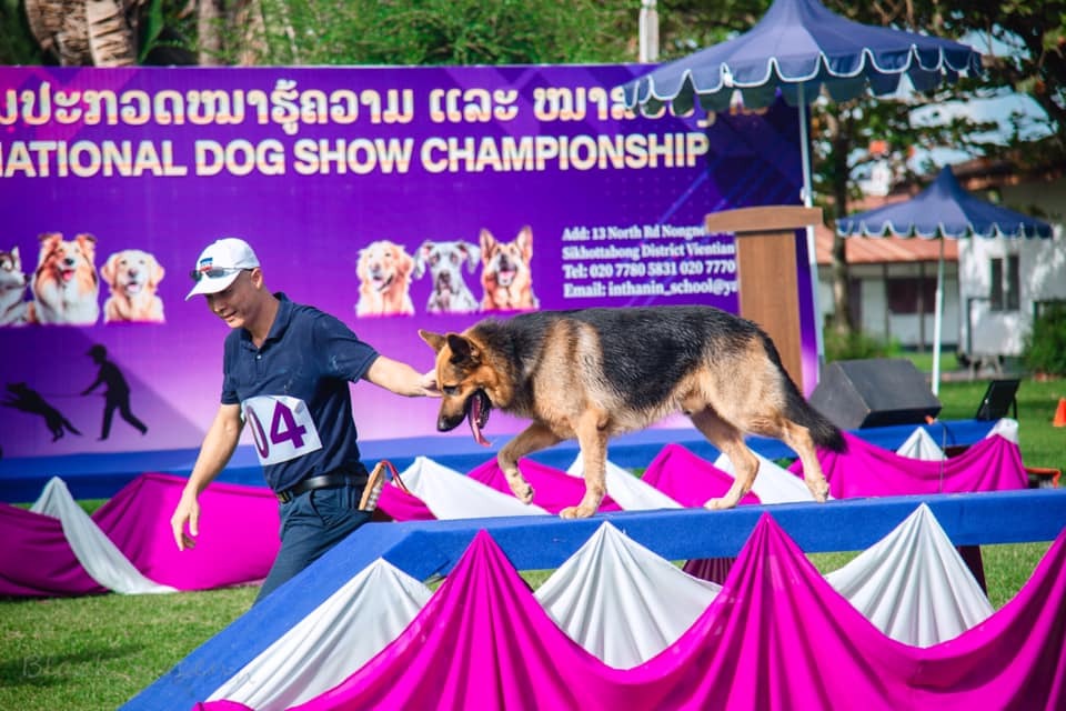 Featured Dog